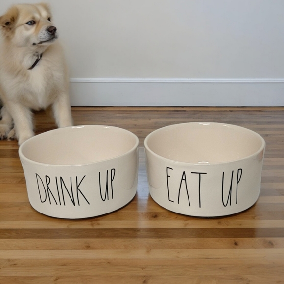 Rae Dunn Other - Rae Dunn Large Eat Up and Drink Up Pet Dish Set of Two (2)